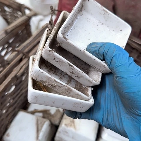 瓷片国营厂库存微瑕7厘米