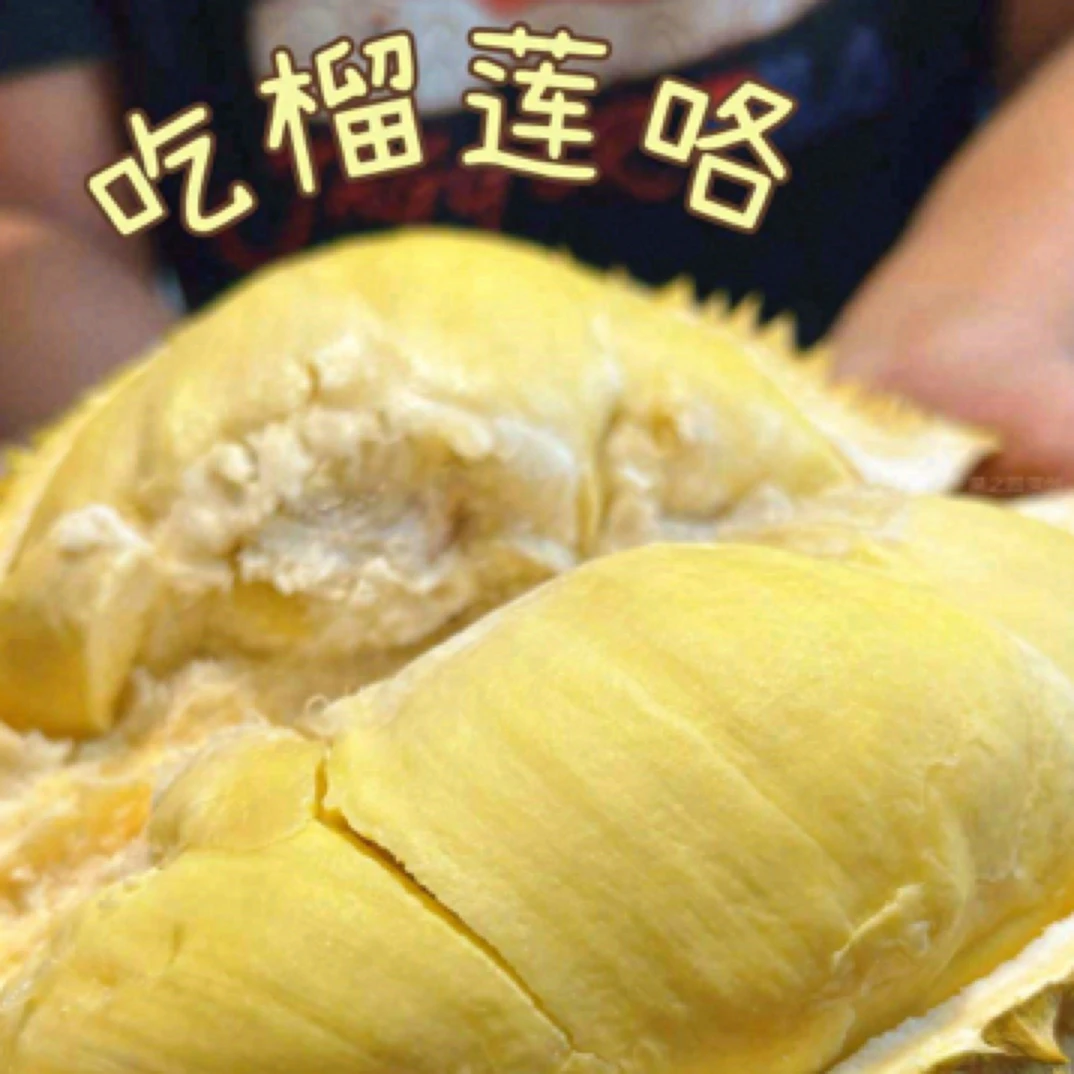 金枕新鲜榴莲核小开肉一盒1-2斤金枕泰国