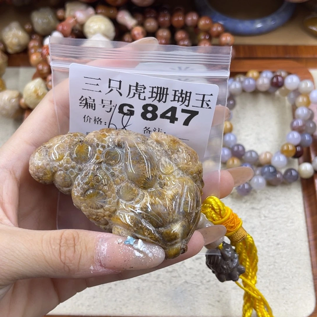 我***君硅化珊瑚（珊瑚玉）未镶嵌h