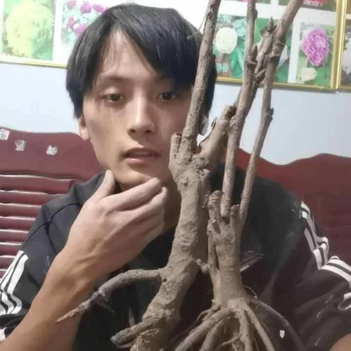 无花朵菏泽花侍本人