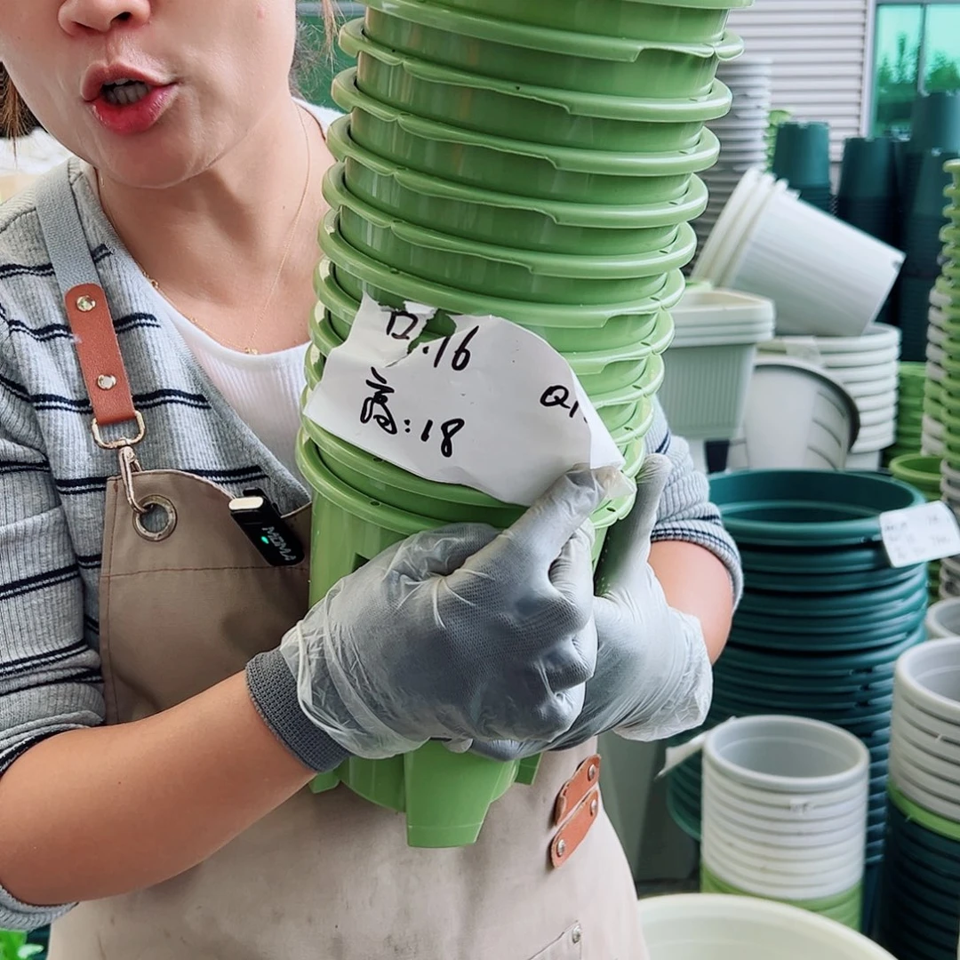 瑕疵Q16#果绿色10个无托