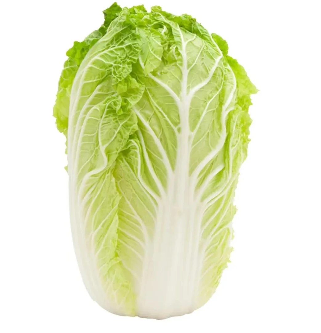 （包邮）苏北露天现挖现发大白菜