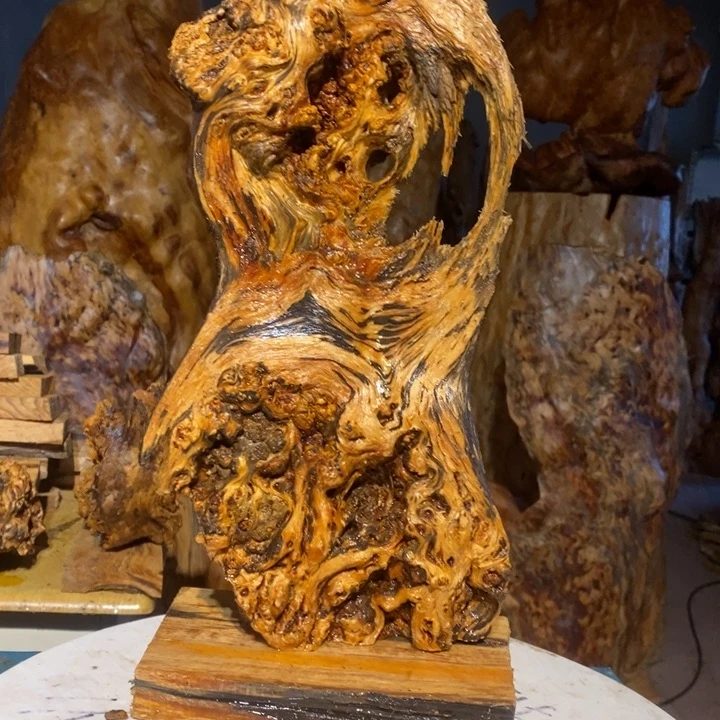 人***.我们都是你的粉丝10