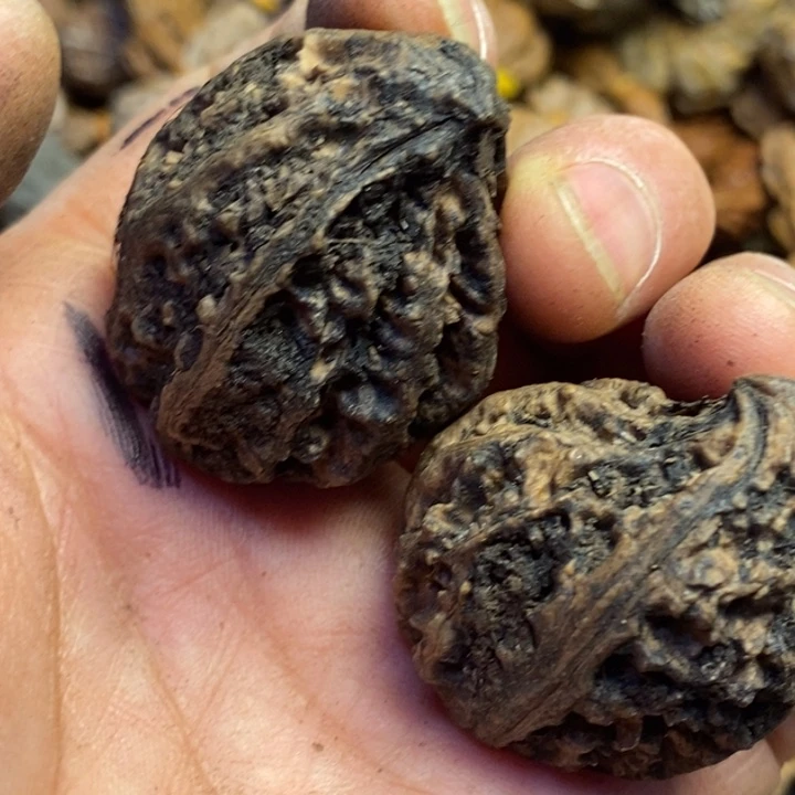 桃核吊坠东北特产72