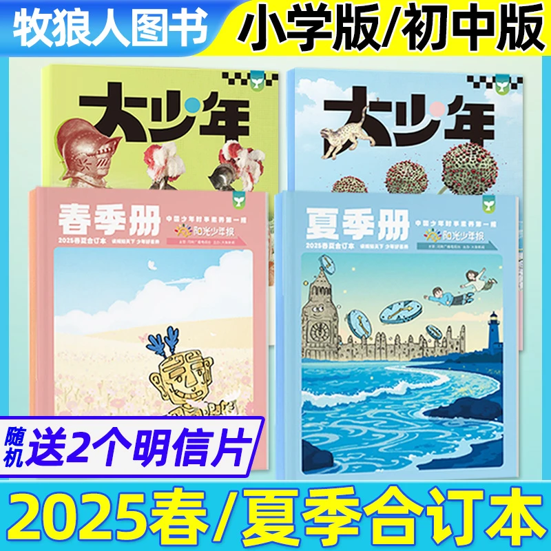 阳光少年报纸/大少年2025/2024年春夏秋冬阳光少年报合订本初中生