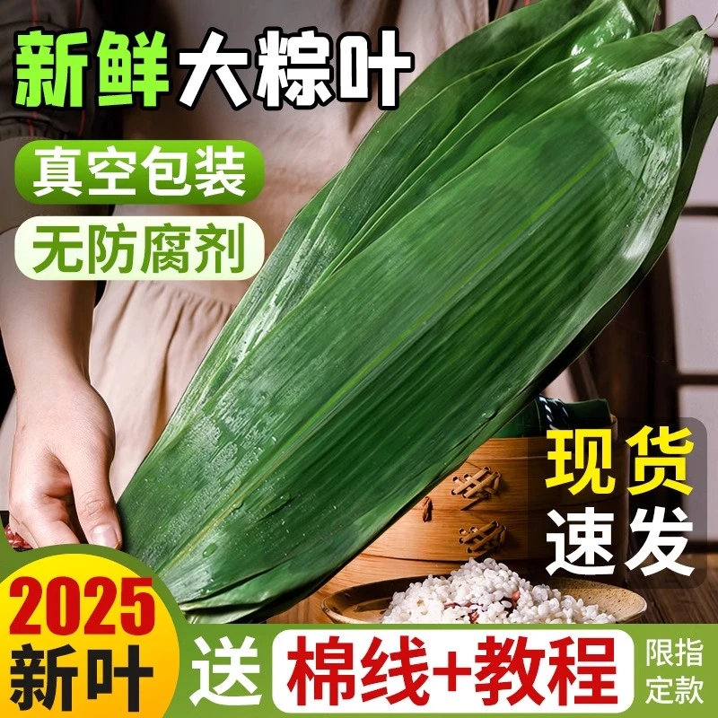 【100片】新鲜粽叶竹叶摆盘装饰小叶子家用商用大号鲜棕寿司DIY用具