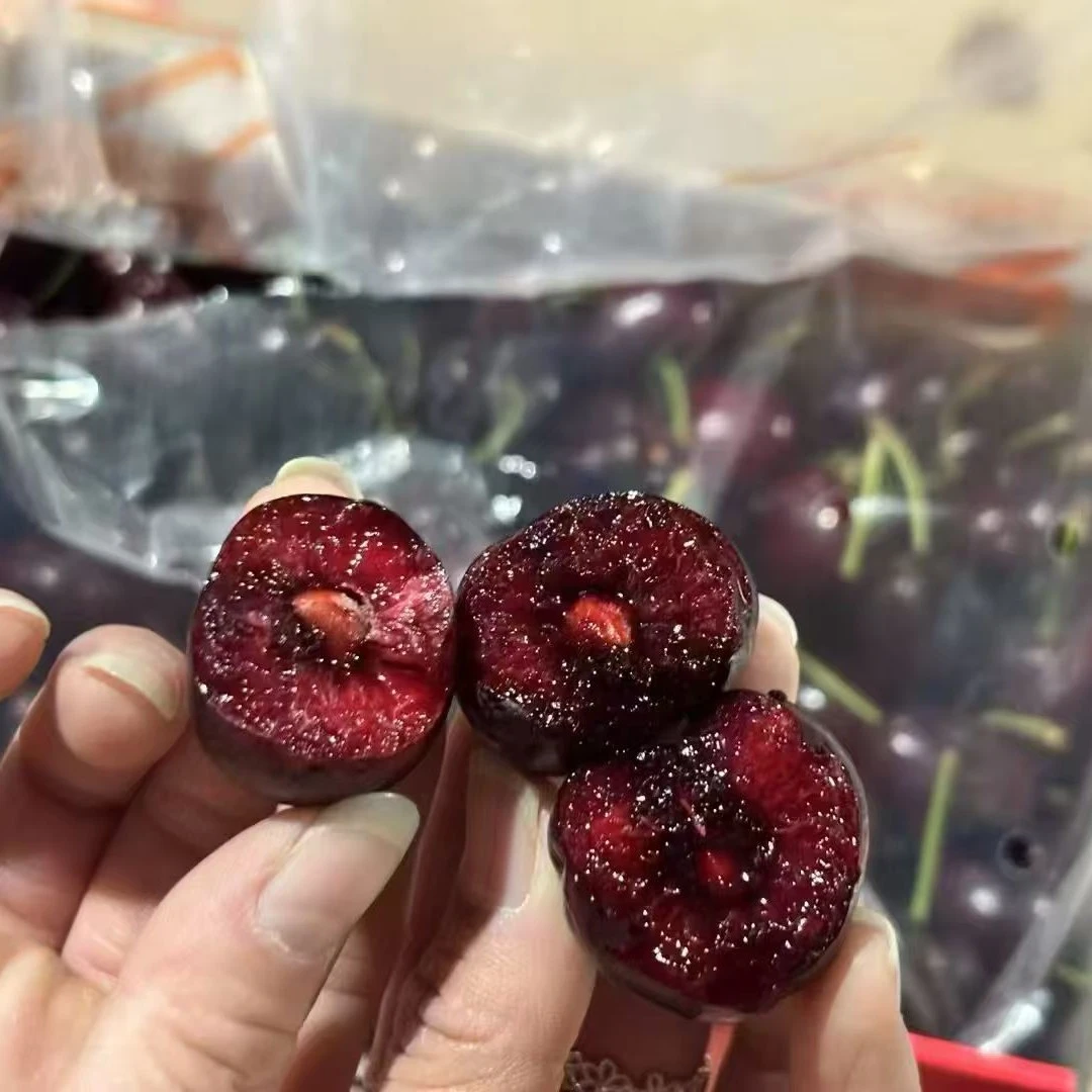 海运智利车厘子1箱5斤装3JD智利