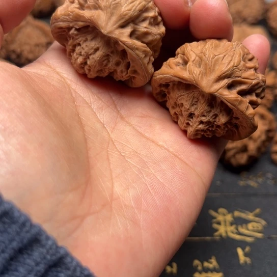 宫灯蛇全品有色差