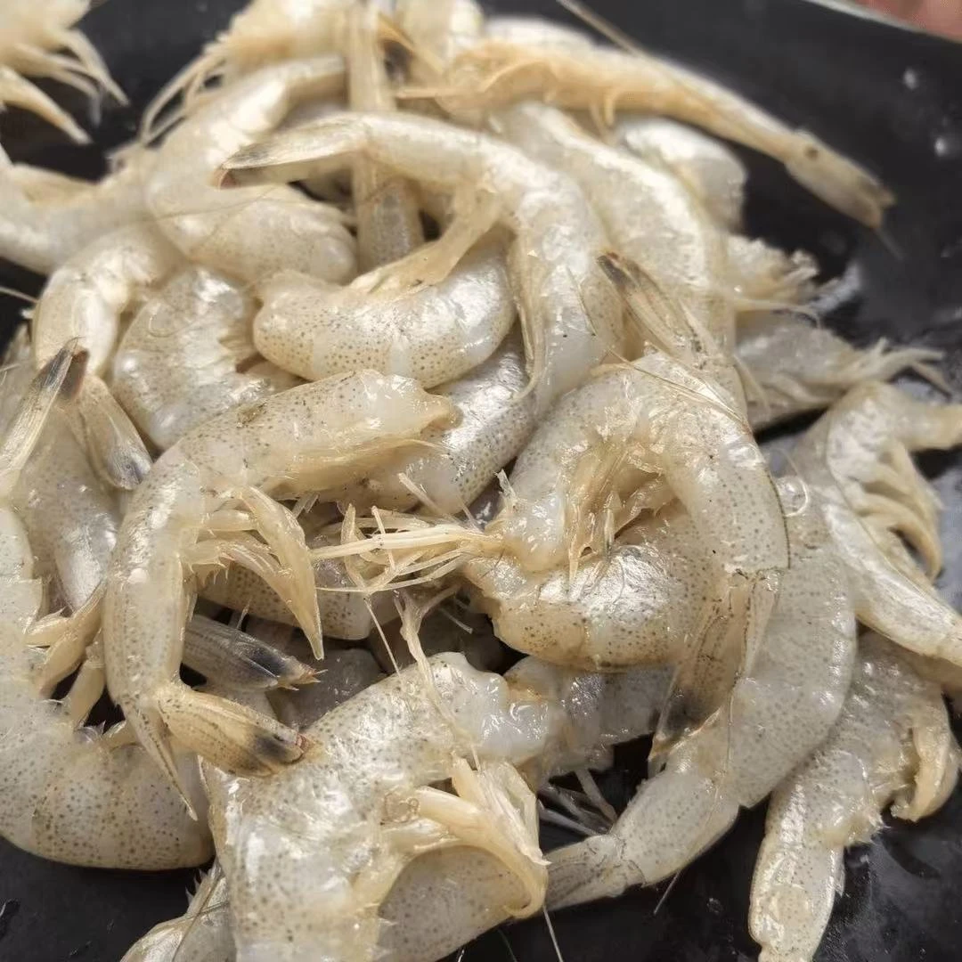 野生海捕新鲜速冻羊毛虾虾尾200克/包 连云港发货