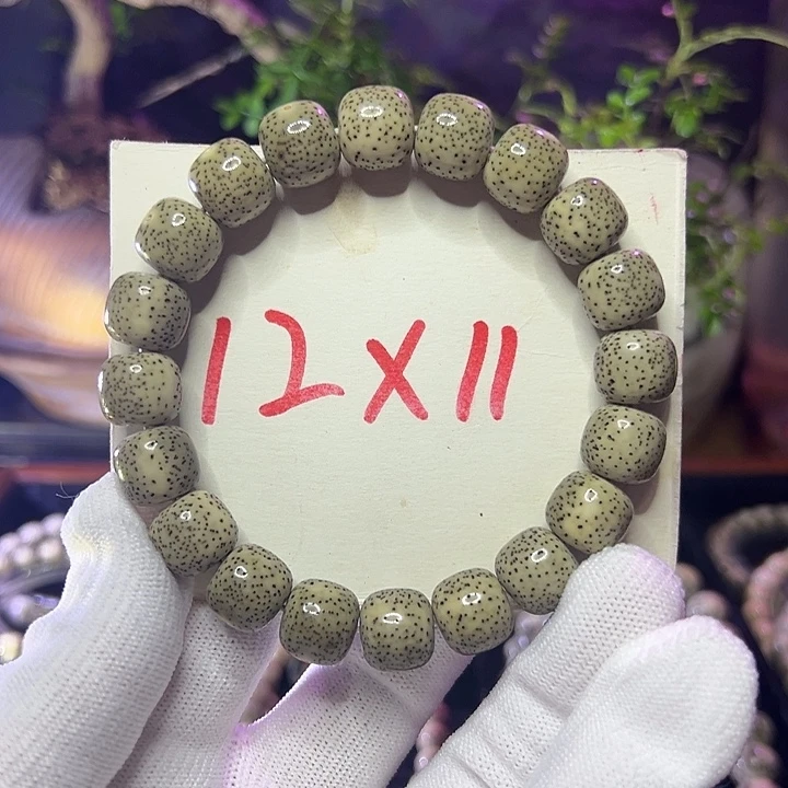 星月菩提手串海南原生太