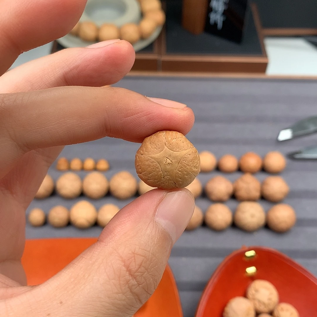 手串凤眼菩提19+五星，非质量问题开孔不退