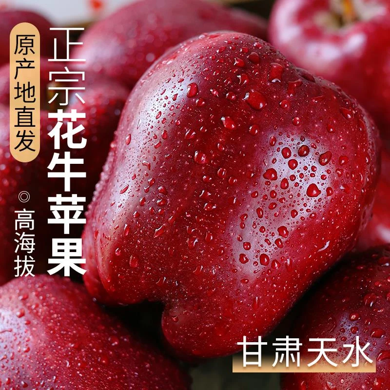 花牛苹果正宗甘肃天水10斤水果新鲜整箱当季糖心红蛇粉面丑平安果