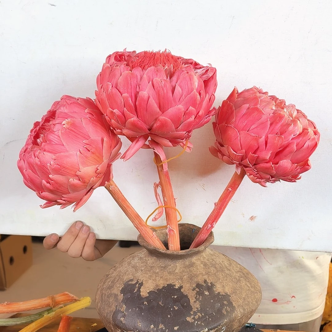 完全开放A24粉色三枝