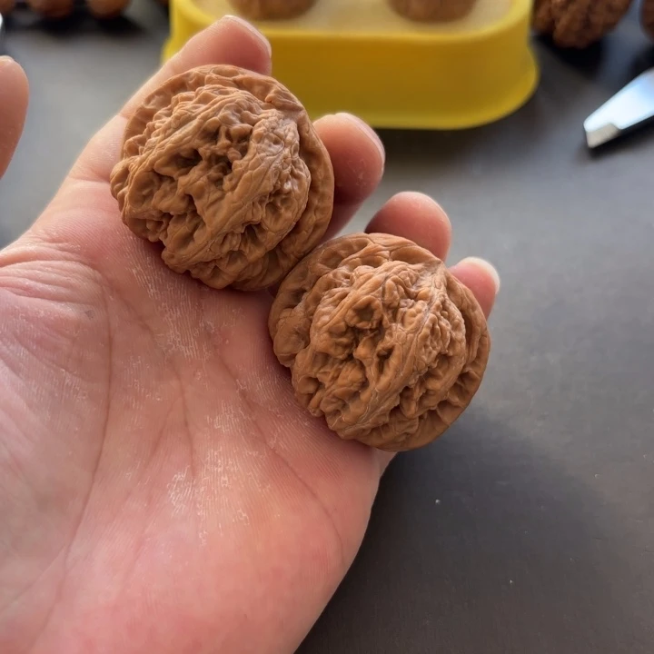 L***.大叶紫檀（黑酸枝木类）粗筋