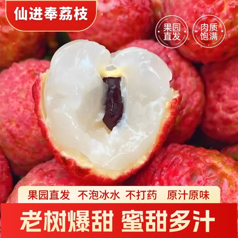 【顺丰/京东空运】现摘现发仙进奉荔枝正宗广东荔枝老树果纯甜多汁