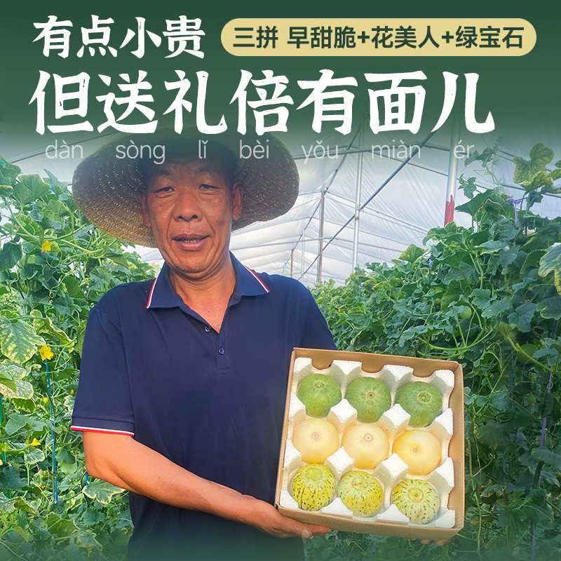 山东头茬三色拼绿宝石小蜜蜂花美人甜瓜新鲜现摘脆甜多汁瓜农直发