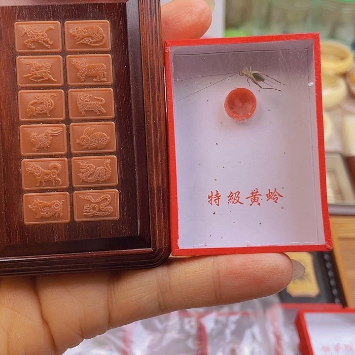 随***意张圣林玲子盒+大黄玲