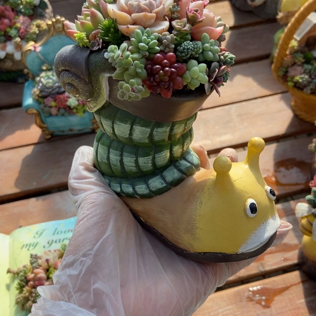 蜗牛鞋子成品发货带植物