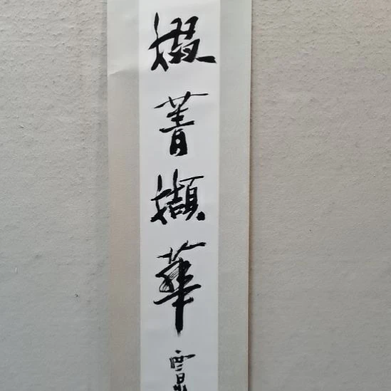 书法墨*陕西书画放漏抖音直播间不见
