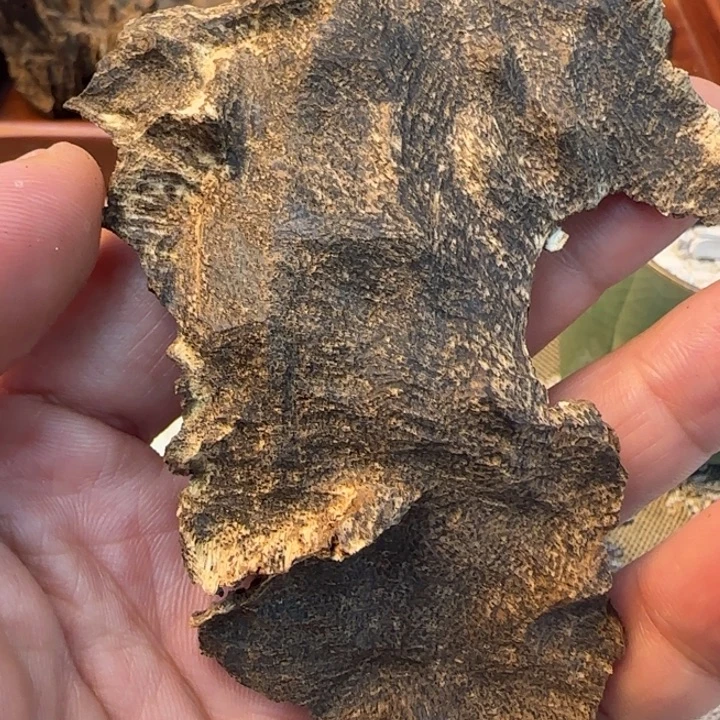 沉香摆件白沙野生包头8.7克