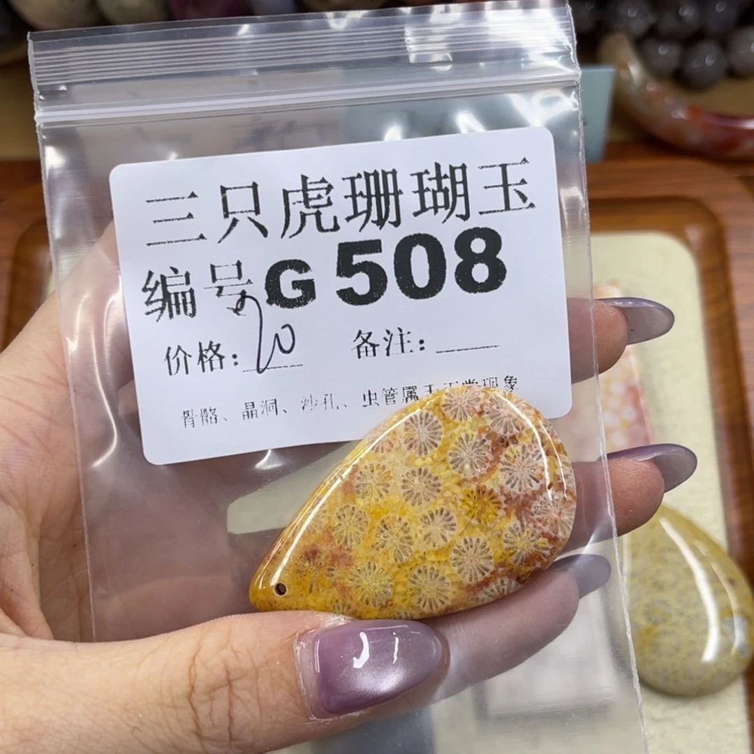 t***e硅化珊瑚（珊瑚玉）未镶嵌h