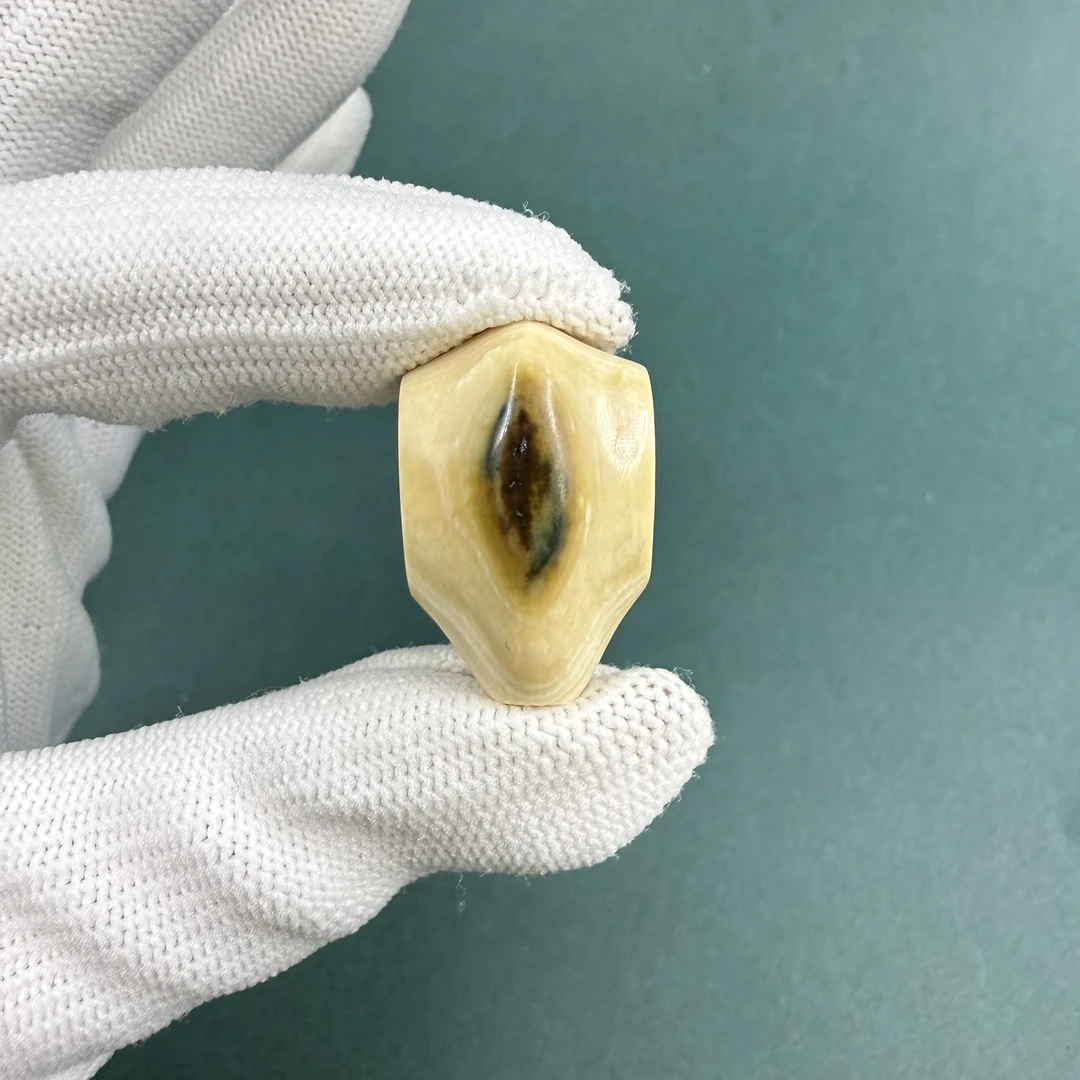 M1519天然猛犸牙 鲨鱼背三通 支持鉴定 假一罚四