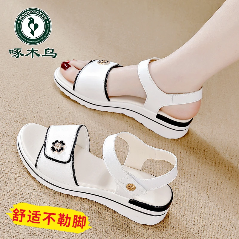 啄木鸟品牌女士软底平底凉鞋女款2025新款夏季外穿妈妈鞋休闲凉拖