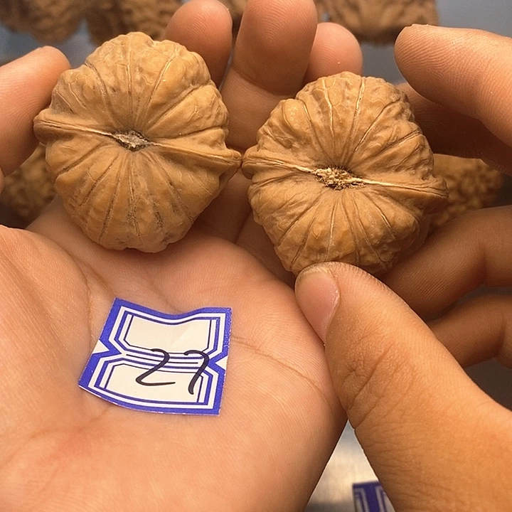 把件文玩核桃42南瓜墩