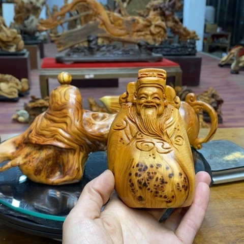 柏木（崖柏）太行崖柏