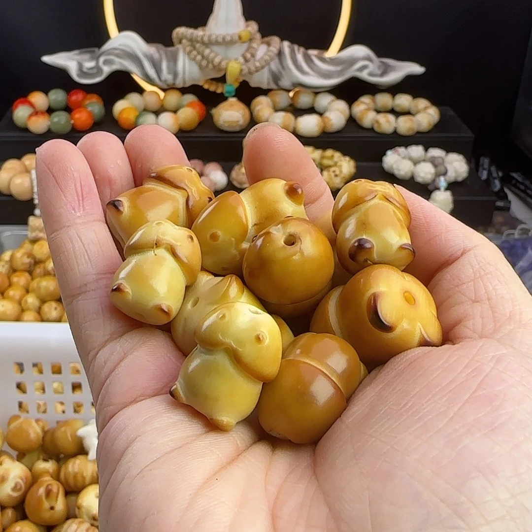 菩提根/象牙果吊坠瑕疵牙果炭烤丁丁14颗处理不售后