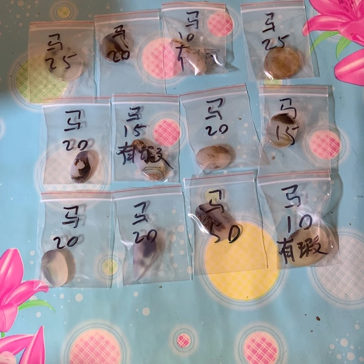 玛瑙/玉髓颈饰未镶嵌玉**走2