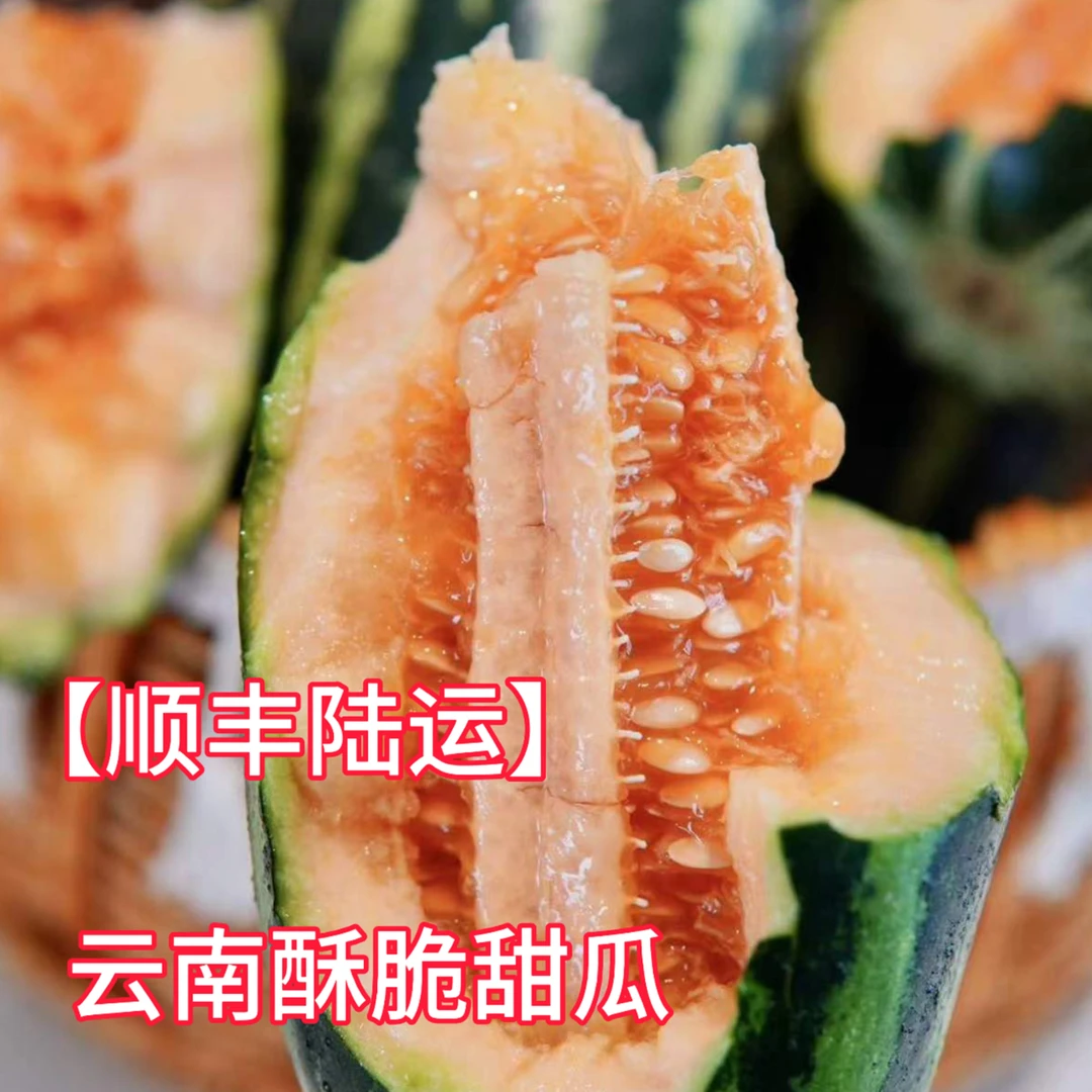 【顺丰陆运】云南翡翠玉酥脆小甜瓜连瓤一起吃巨好吃