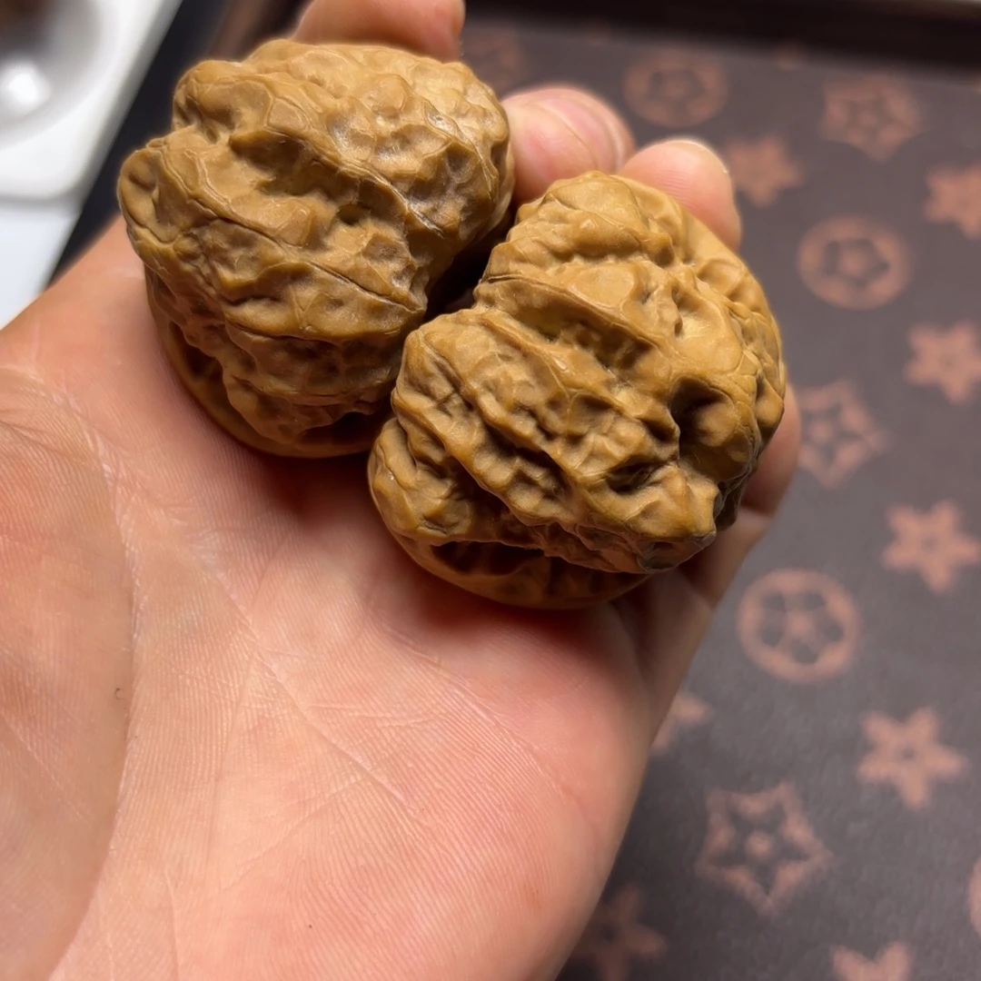 核桃蛤蟆头41尺全品红皮