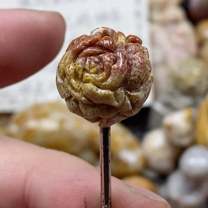 颈饰未镶嵌硅化珊瑚（珊瑚玉）