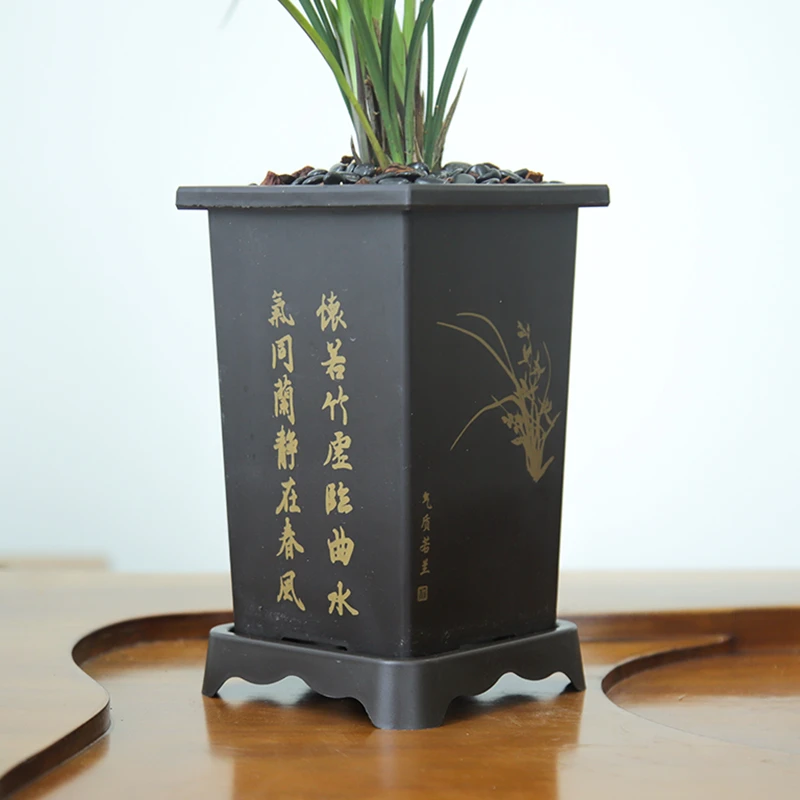 兰花培育盆底座特大号通风透气专用盆花盆兰花盆好用塑料盆发货