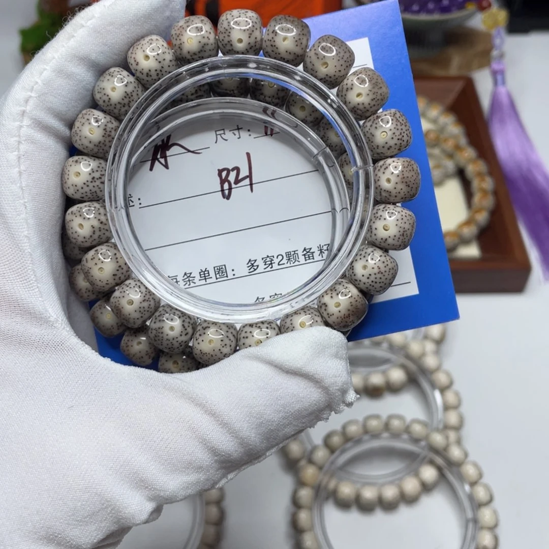 手串星月菩提11黑冰B21