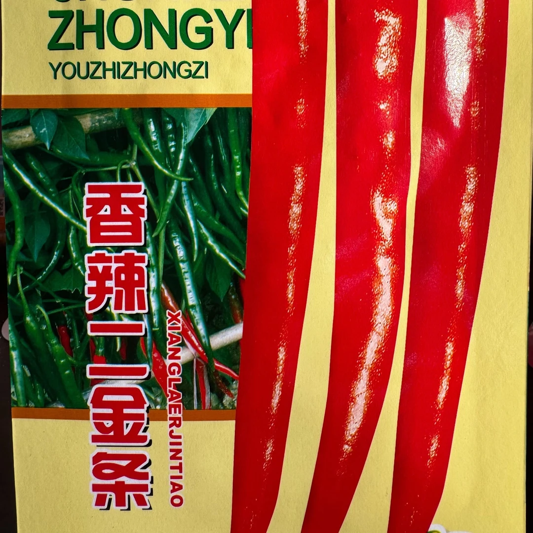 jj香辣二金条辣椒今年新种今年新种