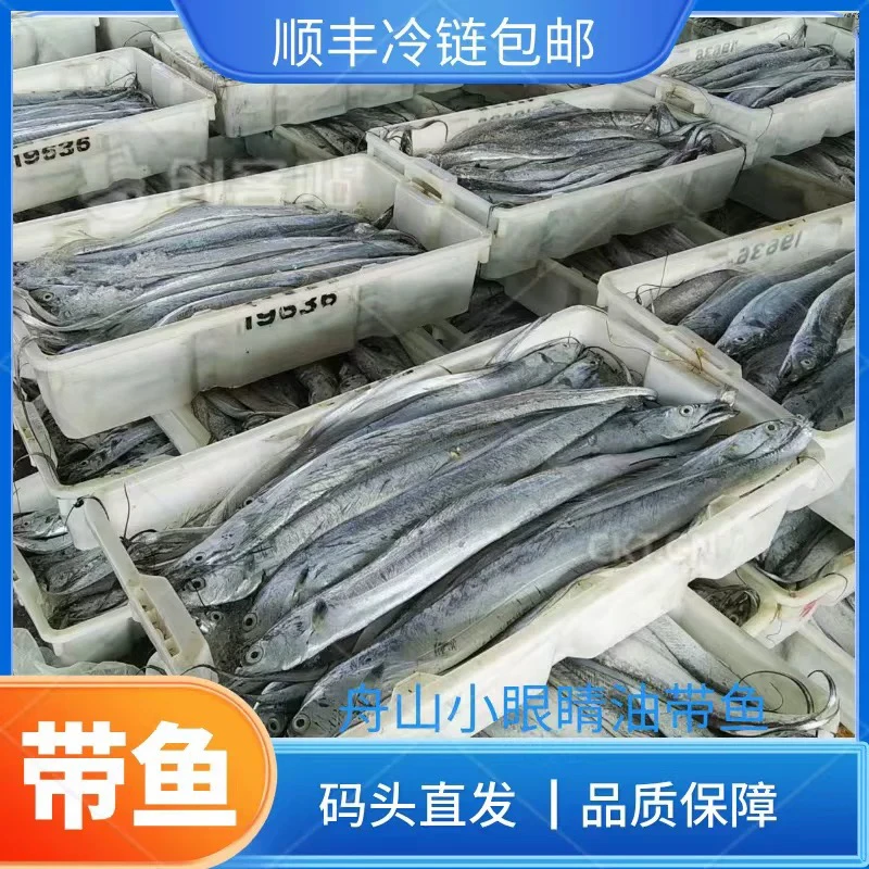 【净8.5斤】舟山带鱼东海小眼带鱼 中刀（17条左右）顺丰（个别破腹）