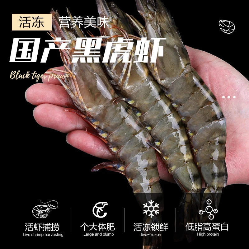 【双十一囤货】巨型黑虎虾新鲜速冻鲜美老虎虾鲜活非盐冻特大号