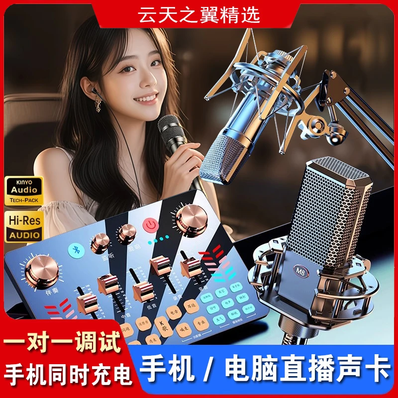 金运V19直播声卡套装唱歌K歌专用全套设备一对一调试网红直播神器