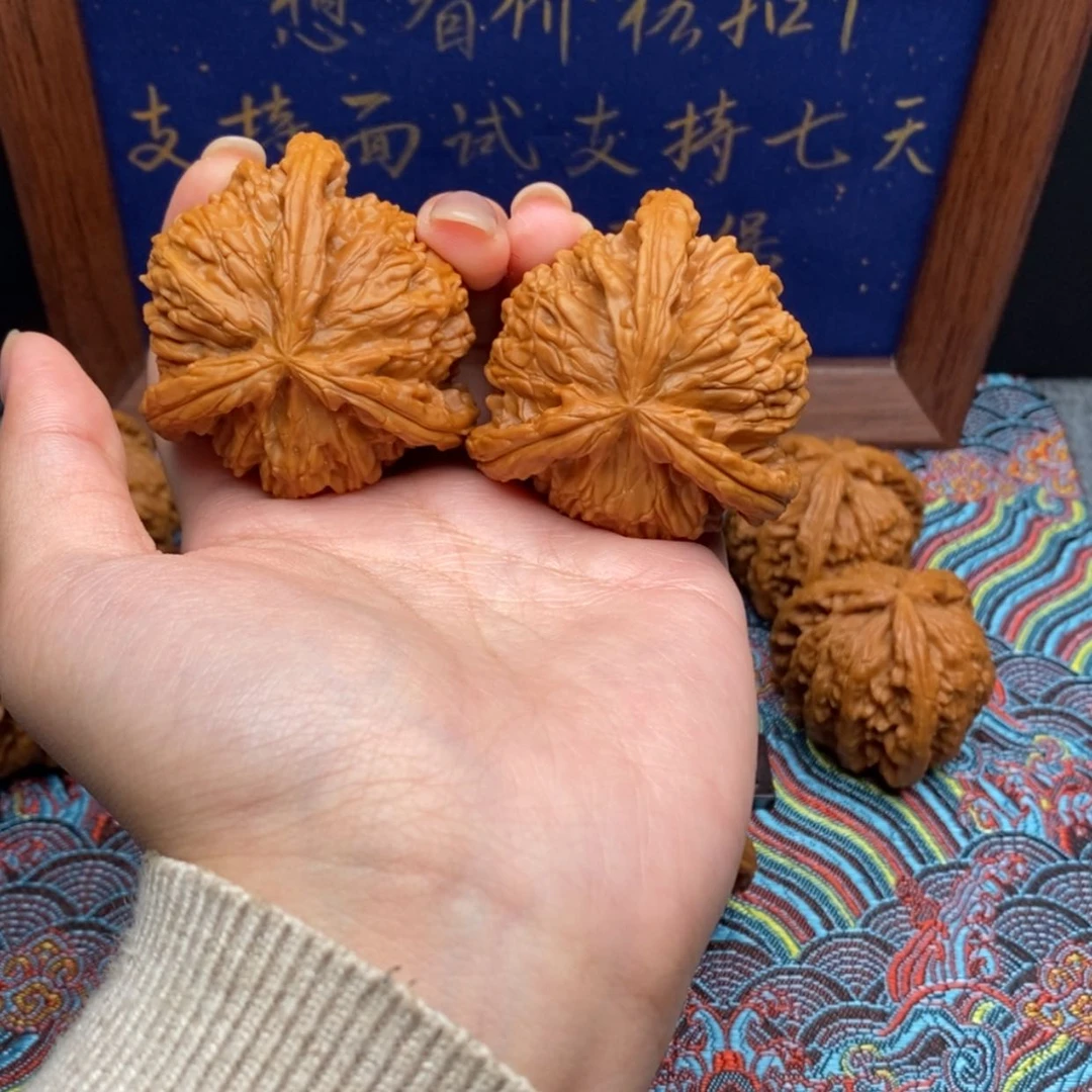 【闪购商品】风***、白狮