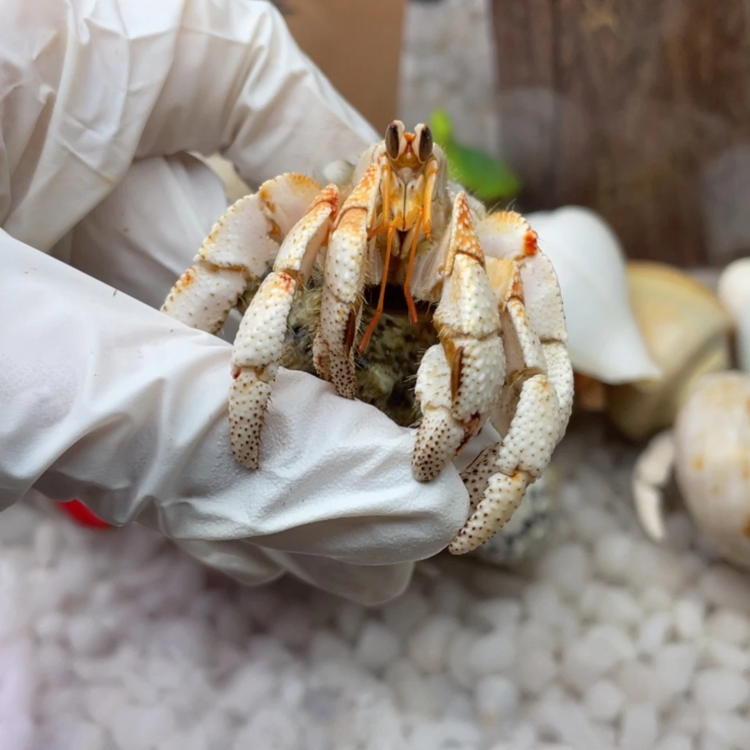 我****我不听拍好看好看