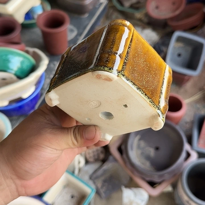 在这里可以看的了的是一