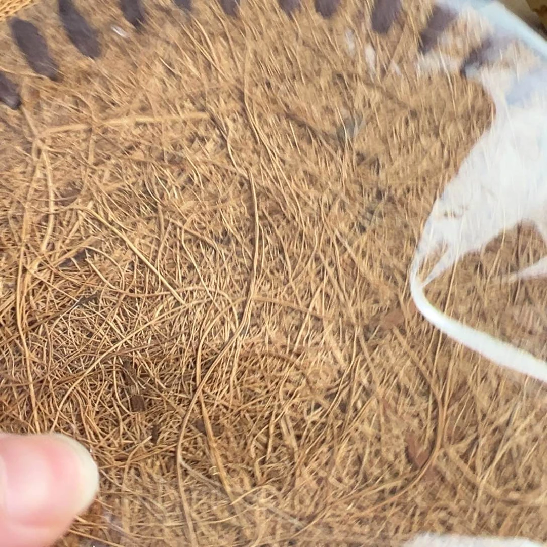 紫砂茶案放漏场，全都漏