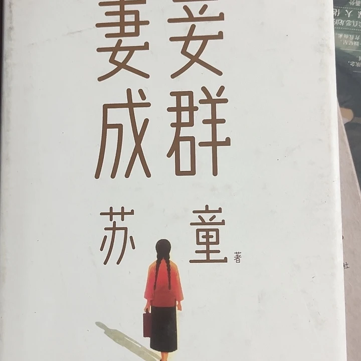 妻妾成群全新精装