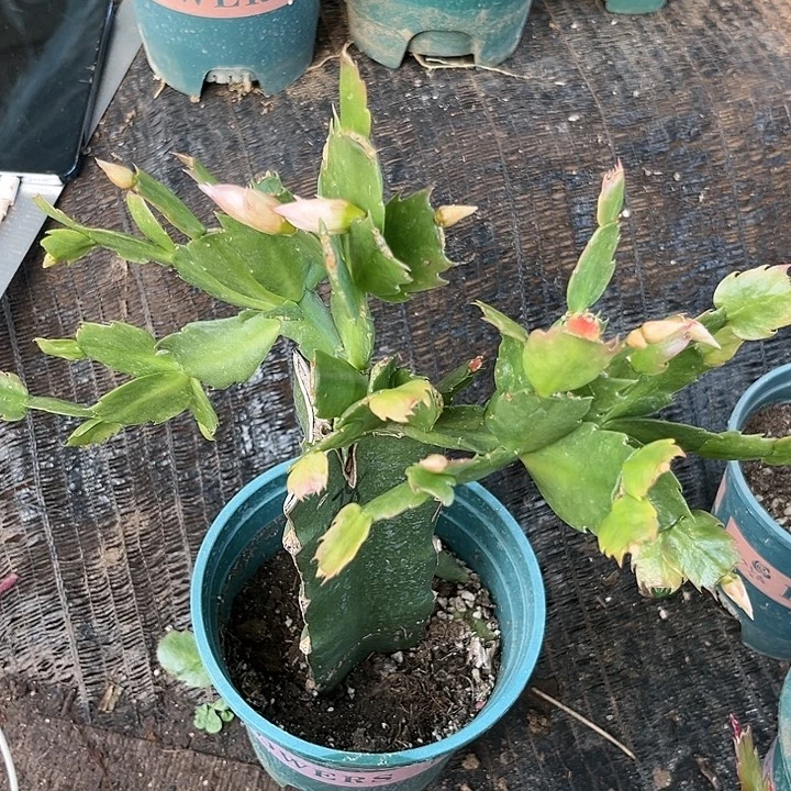 李***云50号038，22222222222