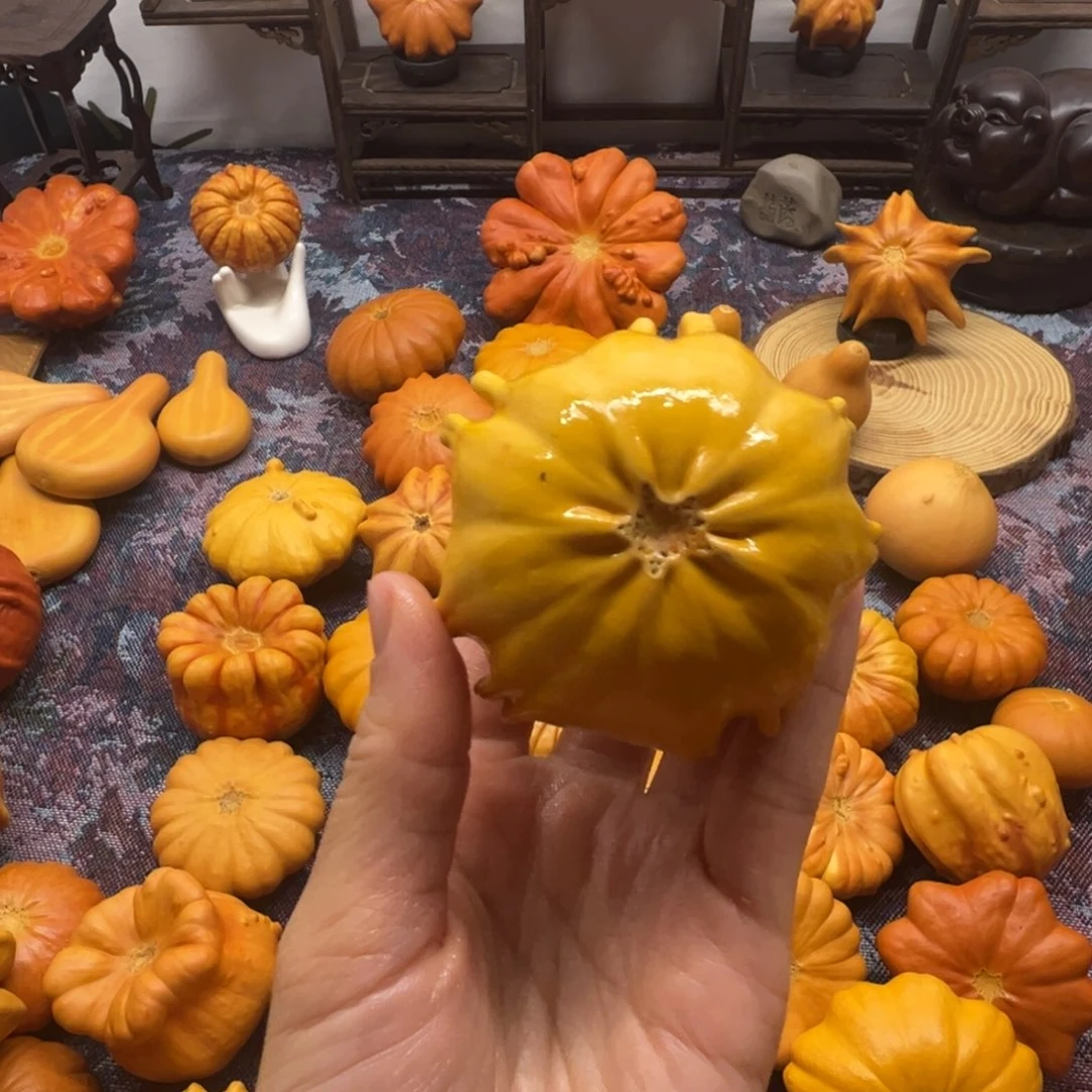 墨西哥葫芦派派星