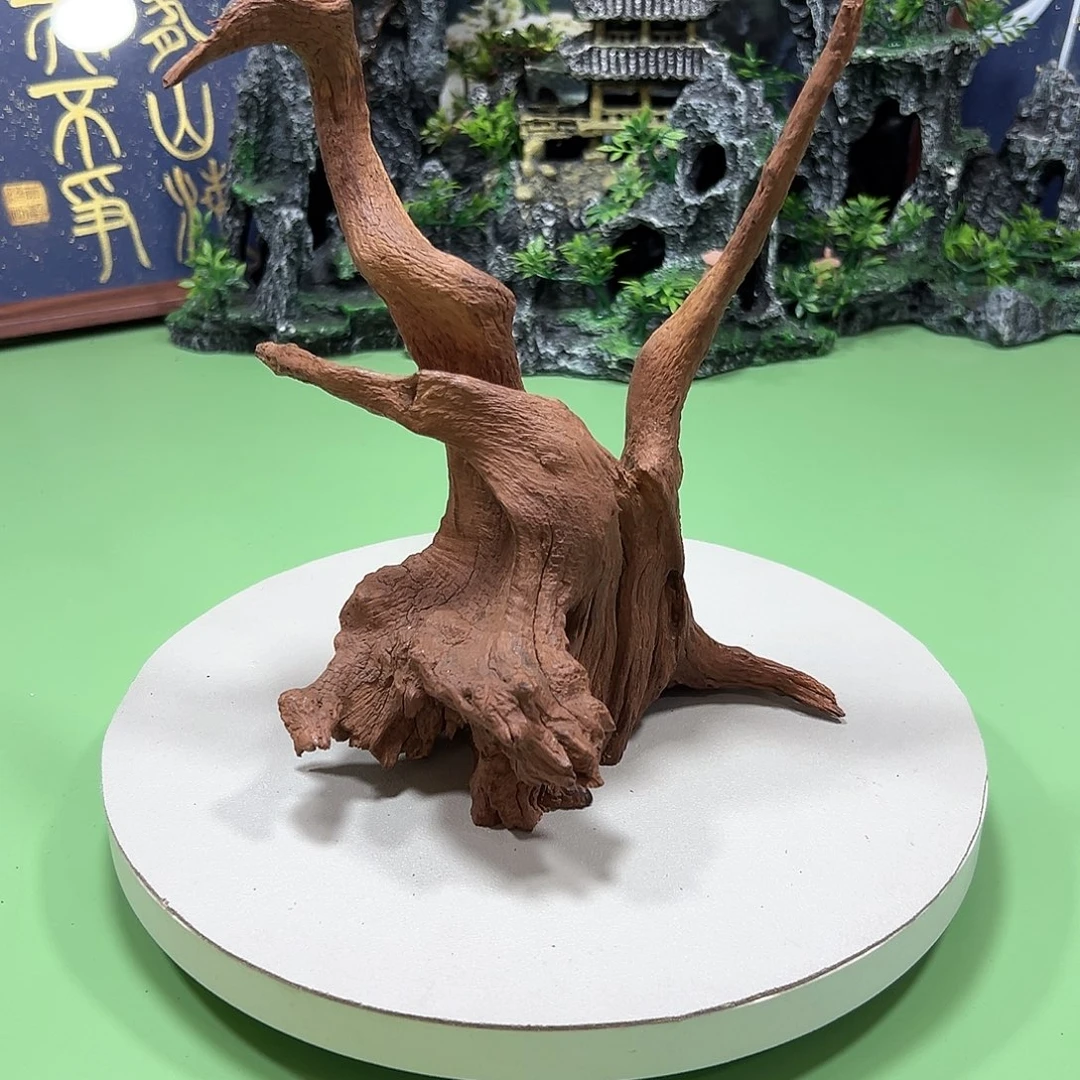 万***宽大果紫檀（缅甸花梨）