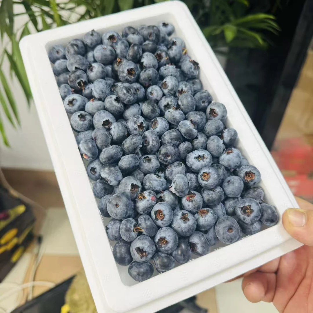 【一箱】泡沫箱云南花香蓝莓花香味足带箱450g左右只发天津市除县区