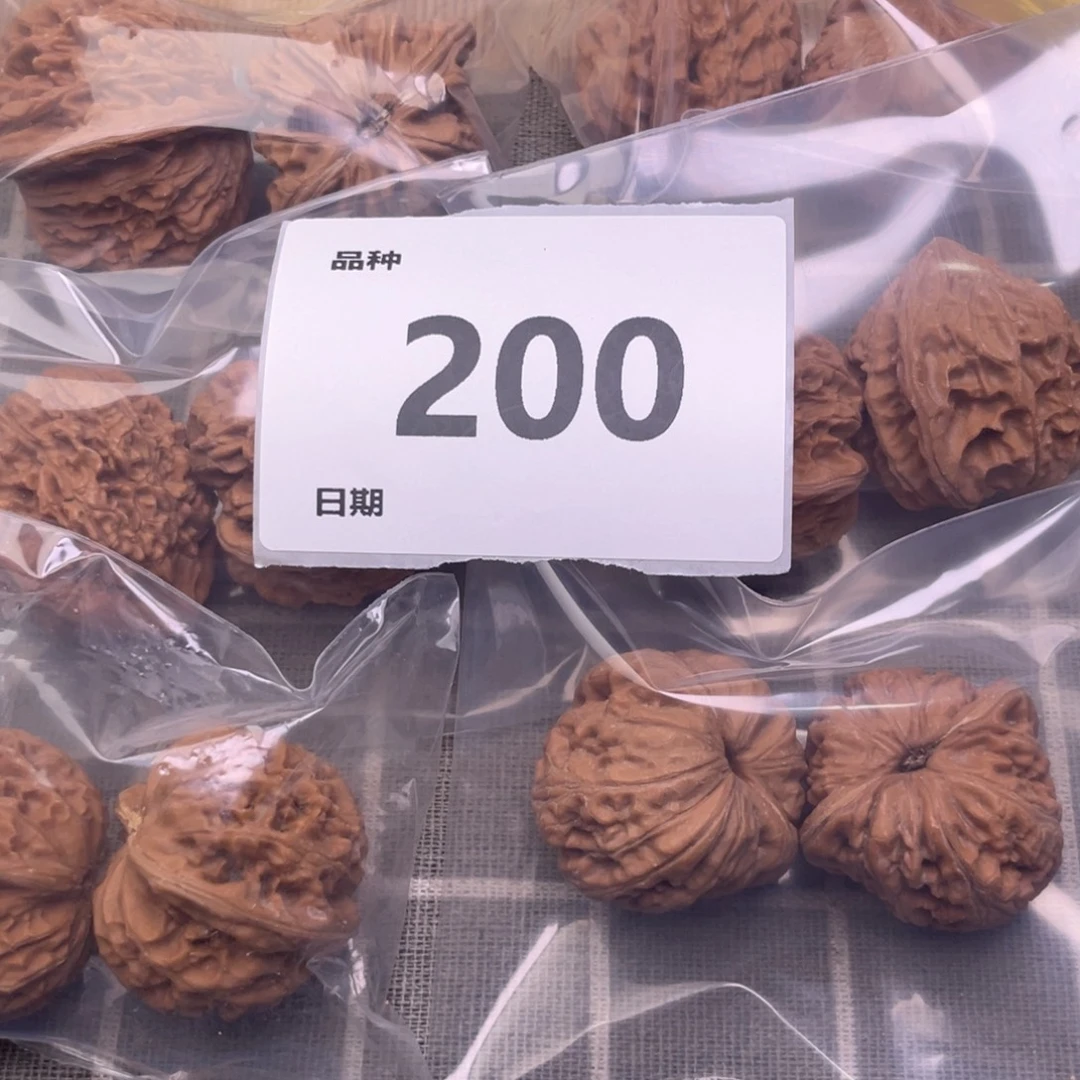 文玩核桃把件200号6对带练手元宝